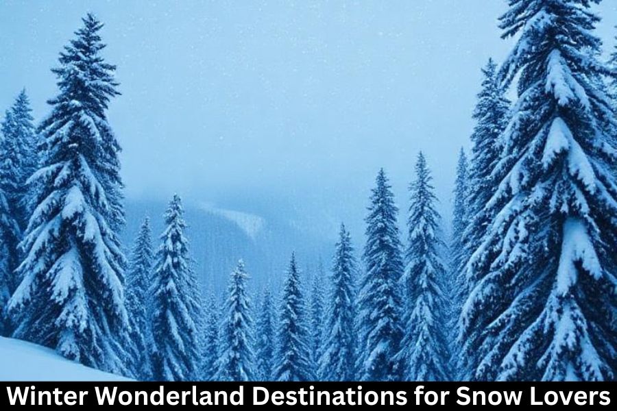 Winter Wonderland Destinations for Snow Lovers
